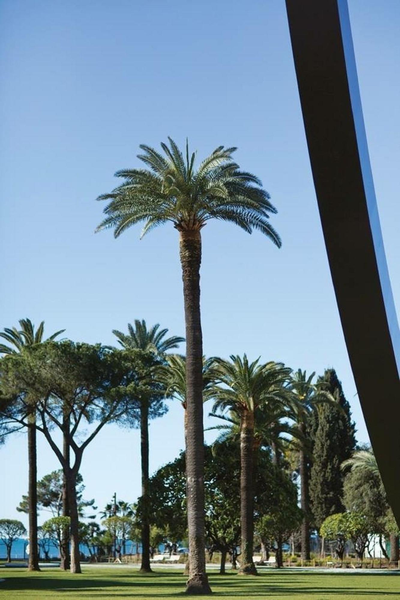 2 Chambres, Balcons, Vue Imprenable, Climatisation - Palace Bleu Apartment Nizza
